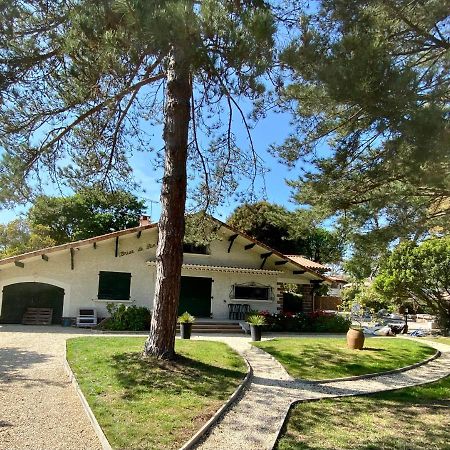 Villa De Charme Avec Piscine A 500M Des Plages Сорт-Осгор Экстерьер фото
